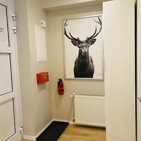 End ハイデルベルク