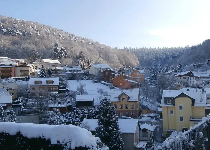 End Appartamento Heidelberg